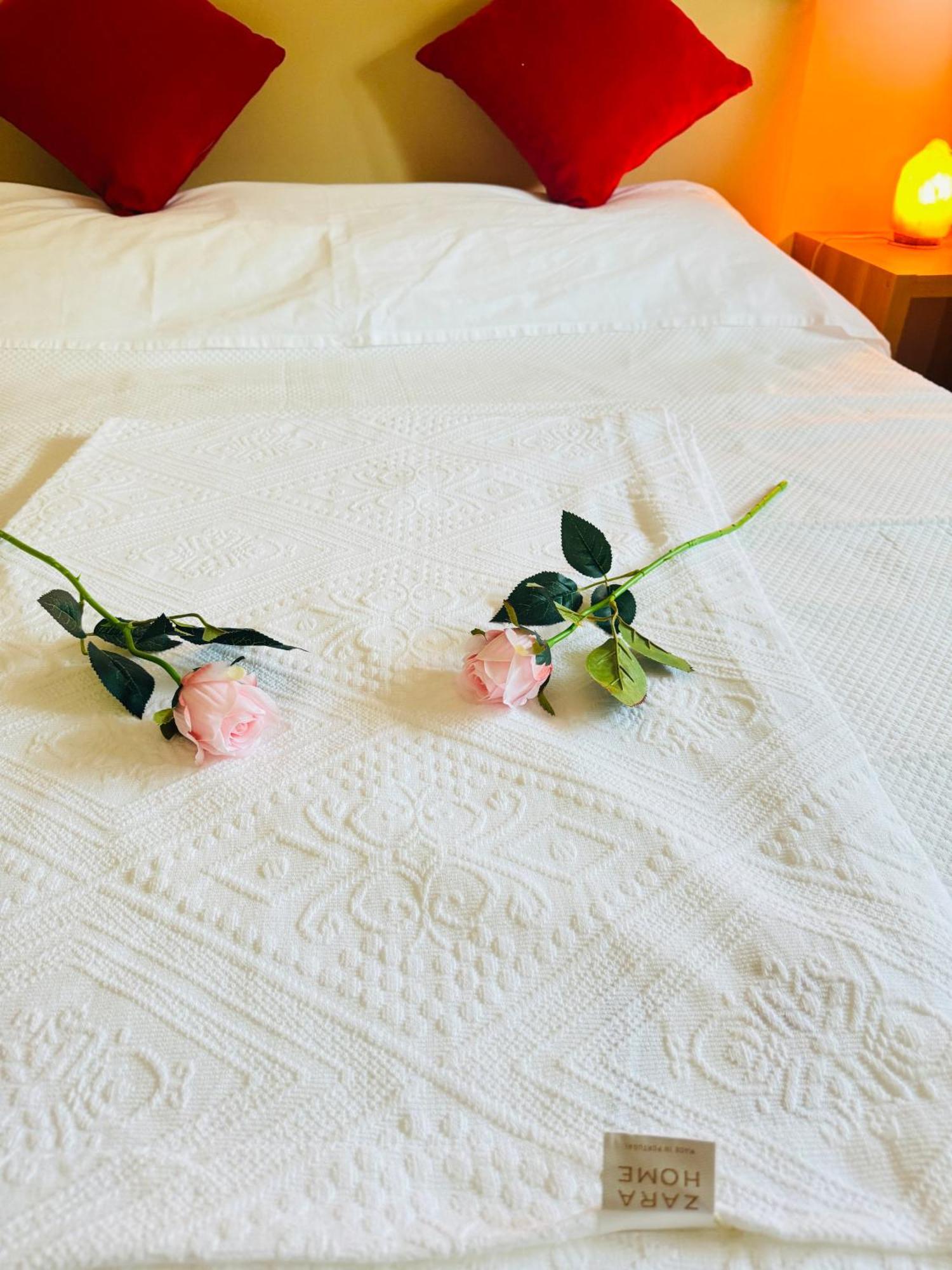 Flower Garden House Apartment Rome