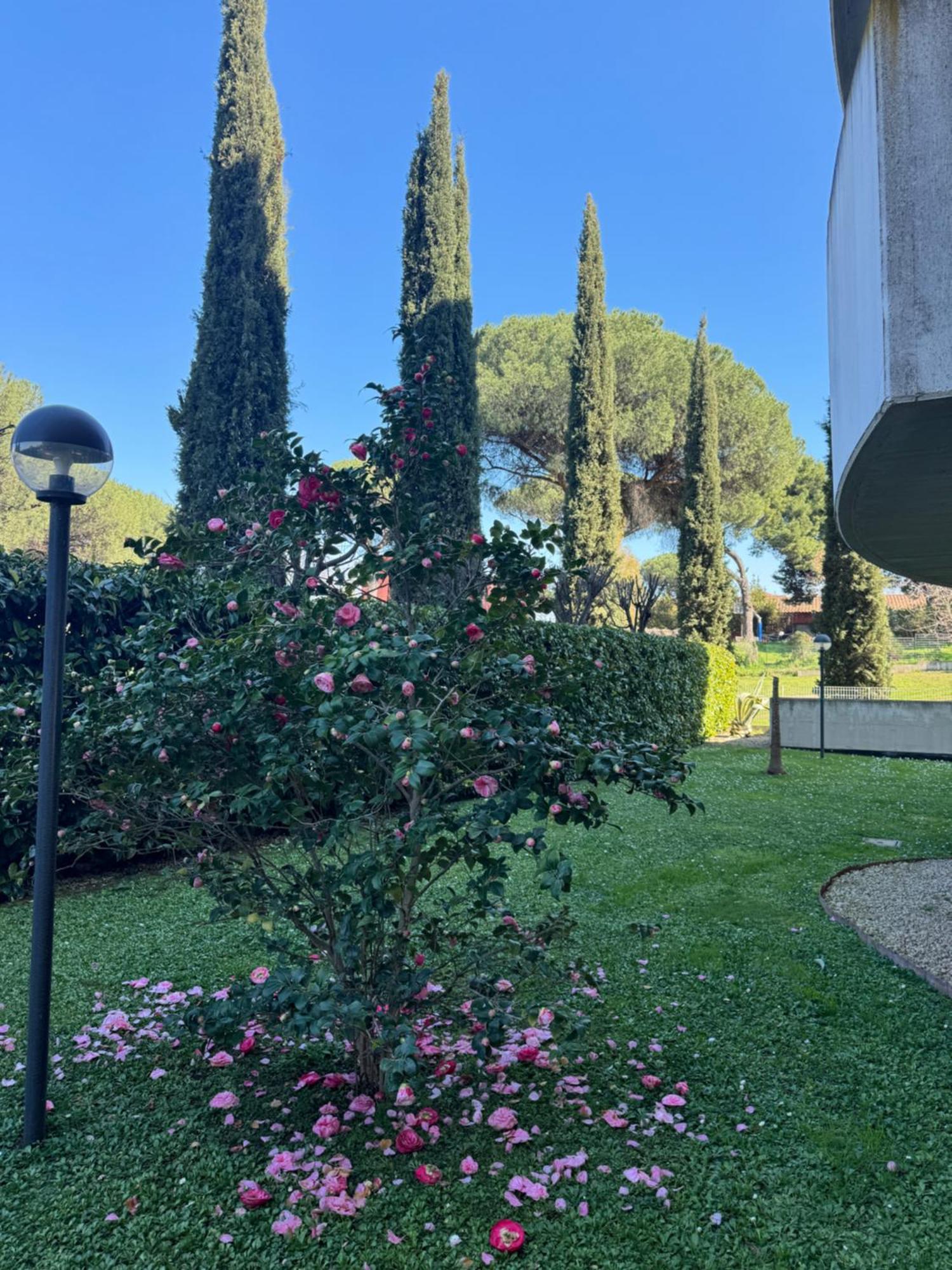 Flower Garden House Apartment Rome